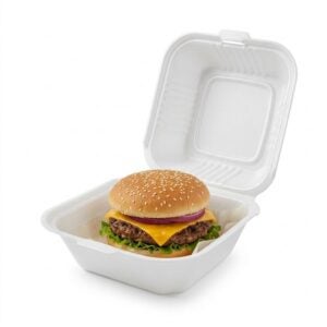 Sandwich Foam Containers | PNB