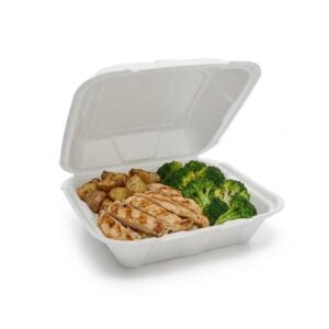 Large Foam Containers | PNB